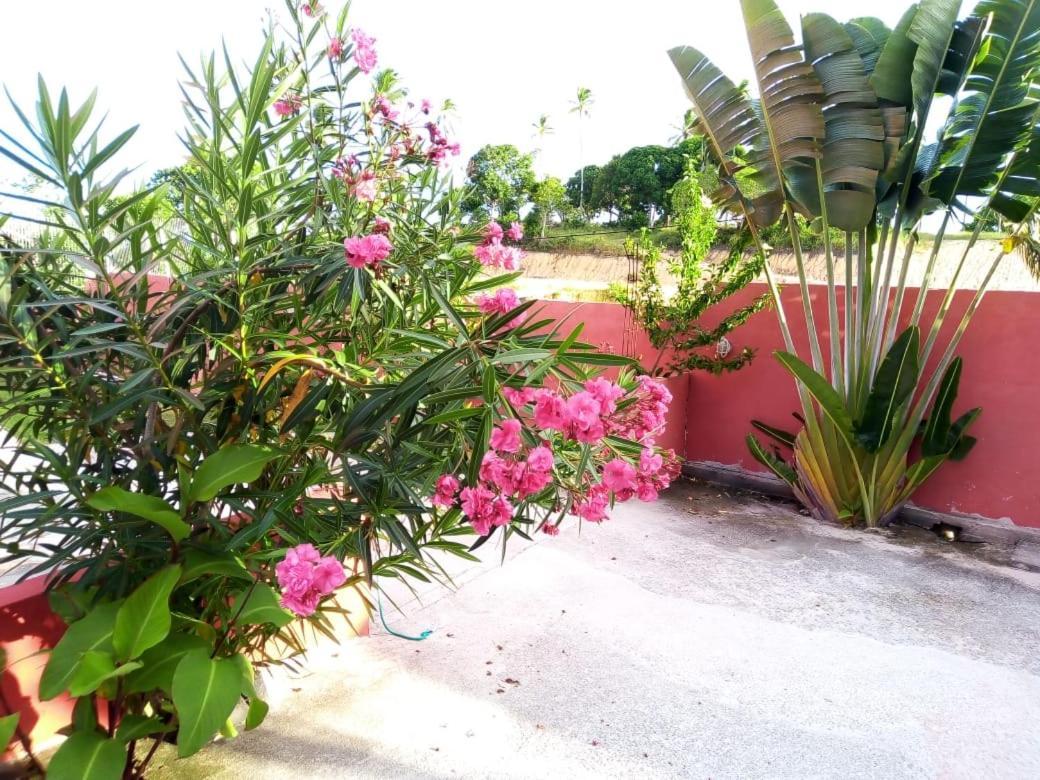Residencial Vista Mar II Διαμέρισμα Πόρτο Σεγκούρο Εξωτερικό φωτογραφία